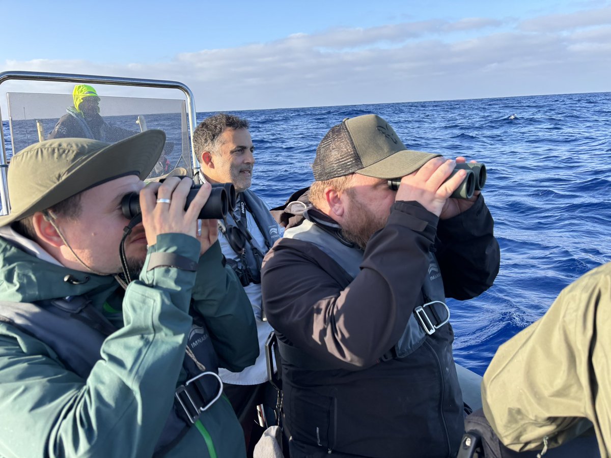 Austin Morley tweet media