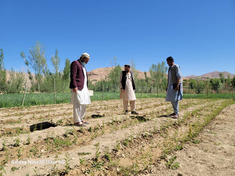 Observing the field activities toward self relianance of Afghanistan <a href="/HBT_ORG/">Help Build Tomorrow</a> <a href="/KhalylaHarito/">Khalyla Harito</a> <a href="/unicefchief/">Catherine Russell</a>  <a href="/KathyHa67044449/">Georgia Sunshine</a> <a href="/davidfolkenflik/">David Folkenflik</a> <a href="/UNICEFROSA/">UNICEF South Asia</a>