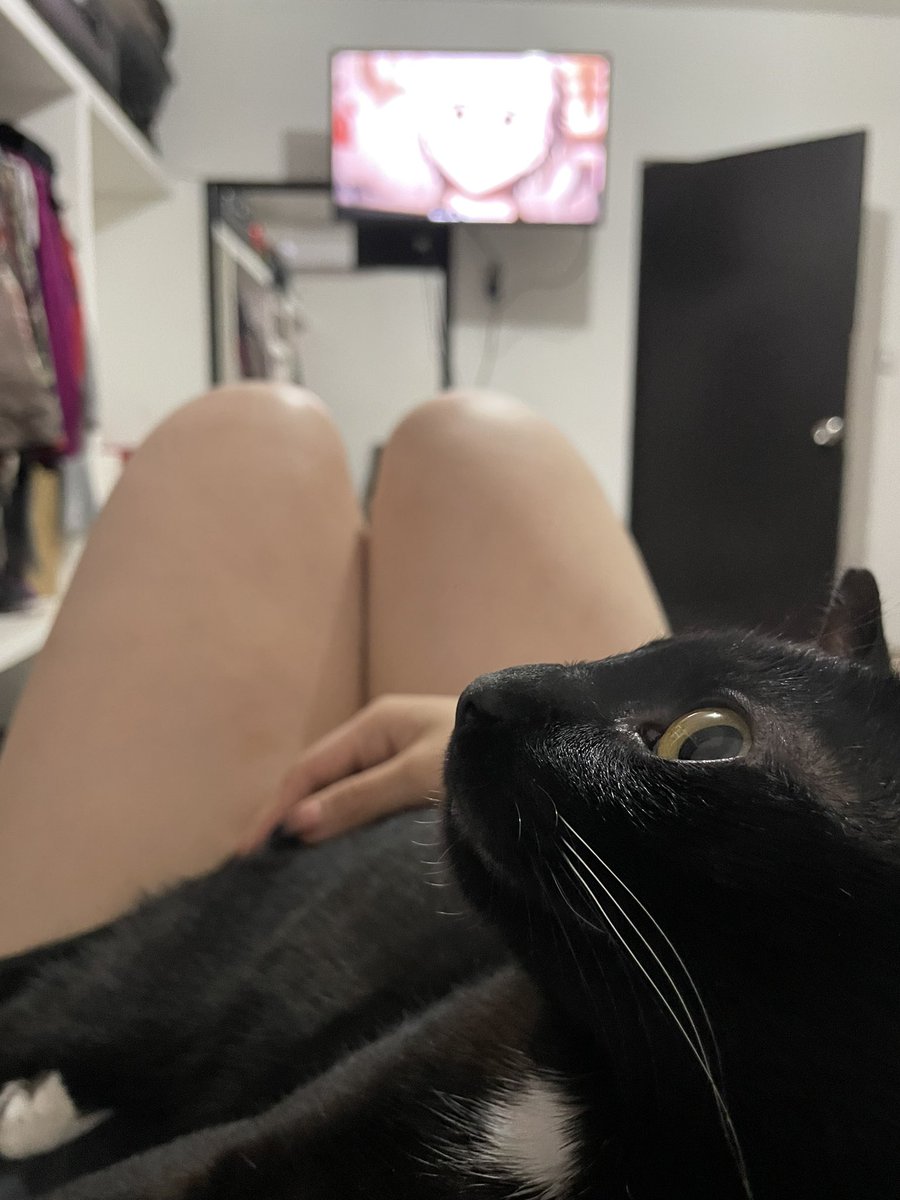 💣 bad jenni 🗡️ tweet media