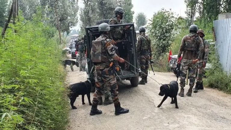 sultan1913's tweet photo. This is normalcy and development in IOJK, 450-500 CRPF companies are deployed to the region to further improve normality and development.
Militarised zone further militarised.
#End_occupation
#End_impunity
#End_militarisation
@ https://t.co/UgFGUWlJEd