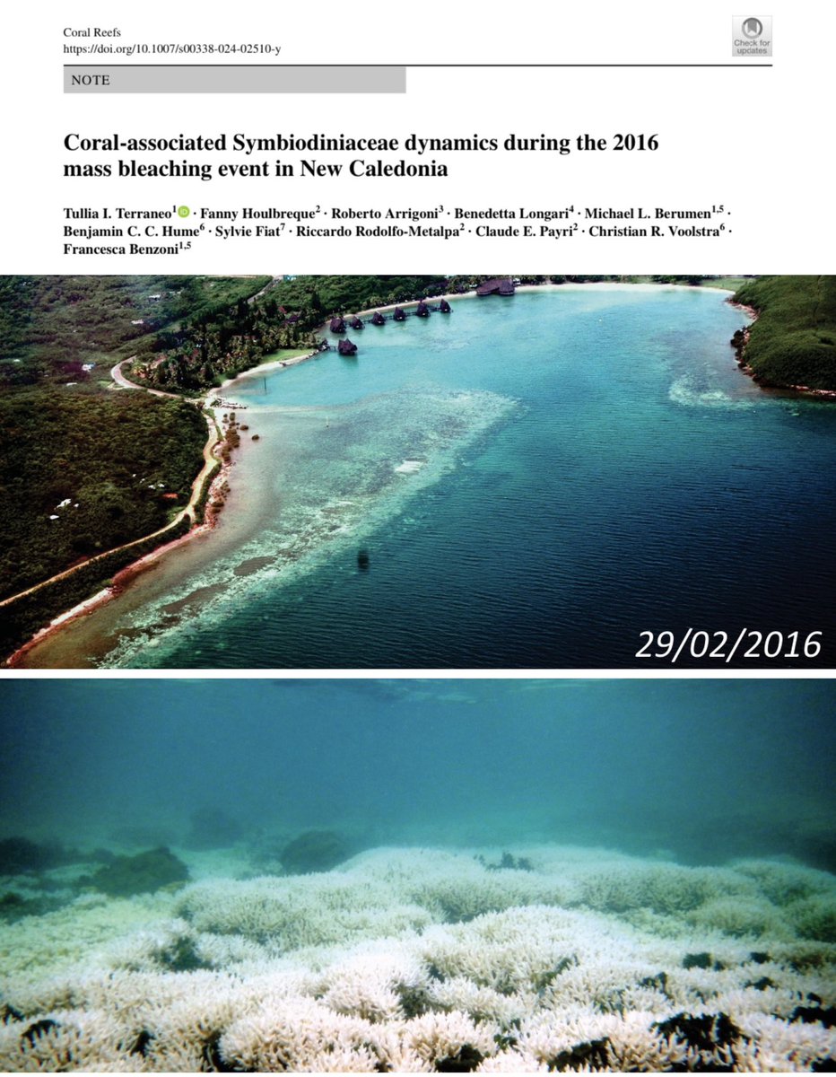 HaBB Lab tweet media