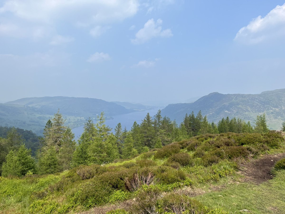 MrJBurn's tweet photo. Lovely hike up Glenridding Dodd and Sheffield Pike over the weekend to tick off some more wainwrights 🥾⛰️🌲 https://t.co/7YRczwSMVb