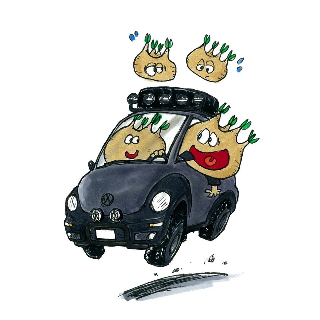 sKetChboOok3's tweet photo. #LÜDIX #LUDIX #LUDIX_style
#VOLKSWAGEN #NEWBEETLE #BEETLE
#CAMP #CAMPER #CAMPING #CAMPINGCAR #SOLOCAMP
#パキポディウム #グラキリス #多肉植物 #パキポディウムグラキリス #pachypodium #pachypodiumgracilius #gracilius #sketchboook3 https://t.co/KGxqOLS2Fd