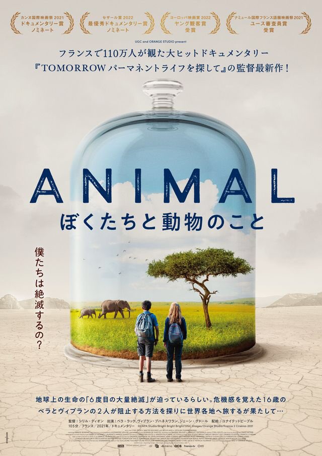 maremarecat's tweet photo. アニマル ぼくたちと動物のこと
@animalbok
https://t.co/Aq2Tinju8l
#アニマルぼくたちと動物のこと
Animal
2021/フランス
配給@upjp
@Image_forum
2024.6.2 18:30
#CyrilDion #BellaLack
#VipulanPuvaneswaran
#AnthonyBarnosky #WamanMeshram #AfrozShah #ClaireNouvian
#KhrisDavis #EloiLaurent