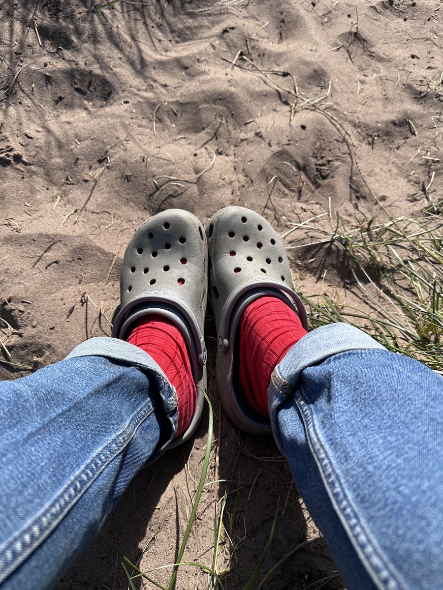 01000011S's tweet photo. Dipping at the seaside! #bridledtern https://t.co/TFiUIhzcW9