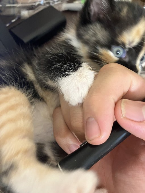 お客様困ります!あー!お客様! 