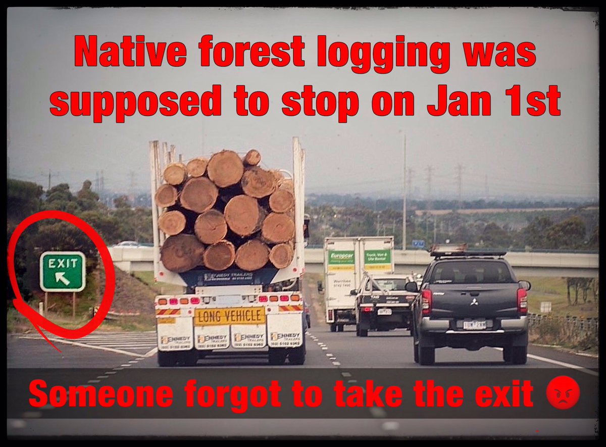 Some of the logs representing the Wombat State Forests largest are being trucked to Gippsland through "Loophole logging" by <a href="/FFMVic/">ForestFireManagement</a> Call <a href="/JacintaAllanMP/">Jacinta Allan</a> <a href="/MaryAnneThomas/">Mary-Anne Thomas MP</a> <a href="/Steve_Dimo/">Steve Dimopoulos MP</a> <a href="/RosSpenceMP/">Ros Spence MP</a> Why was <a href="/LEANAustralia/">LEAN Australia</a> asked to take post down?