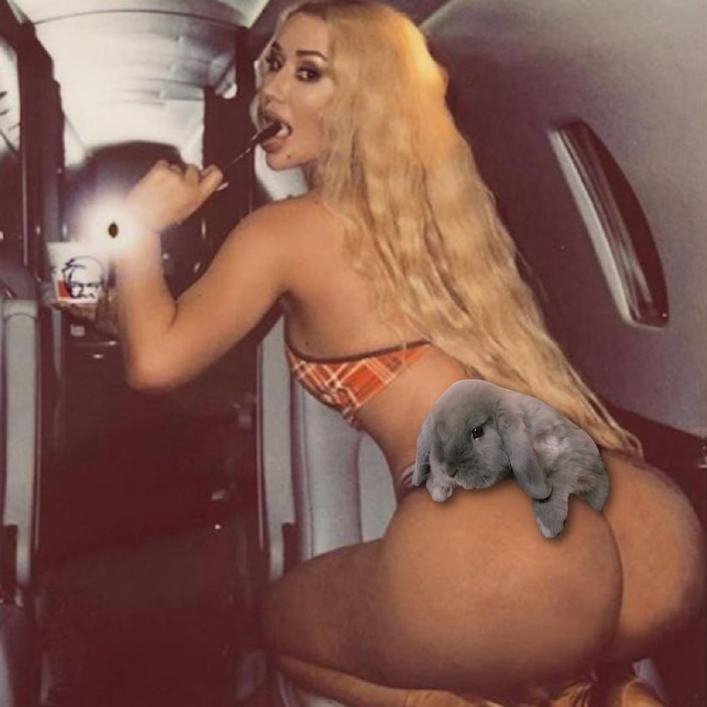 GloriaThippoCTO's tweet image. Defo not fake $smokey was there 
This jpeg was after
EpPeVUBaUF7LgZjupKNVmDxEYs1grEaeiN12f7csiGuJ