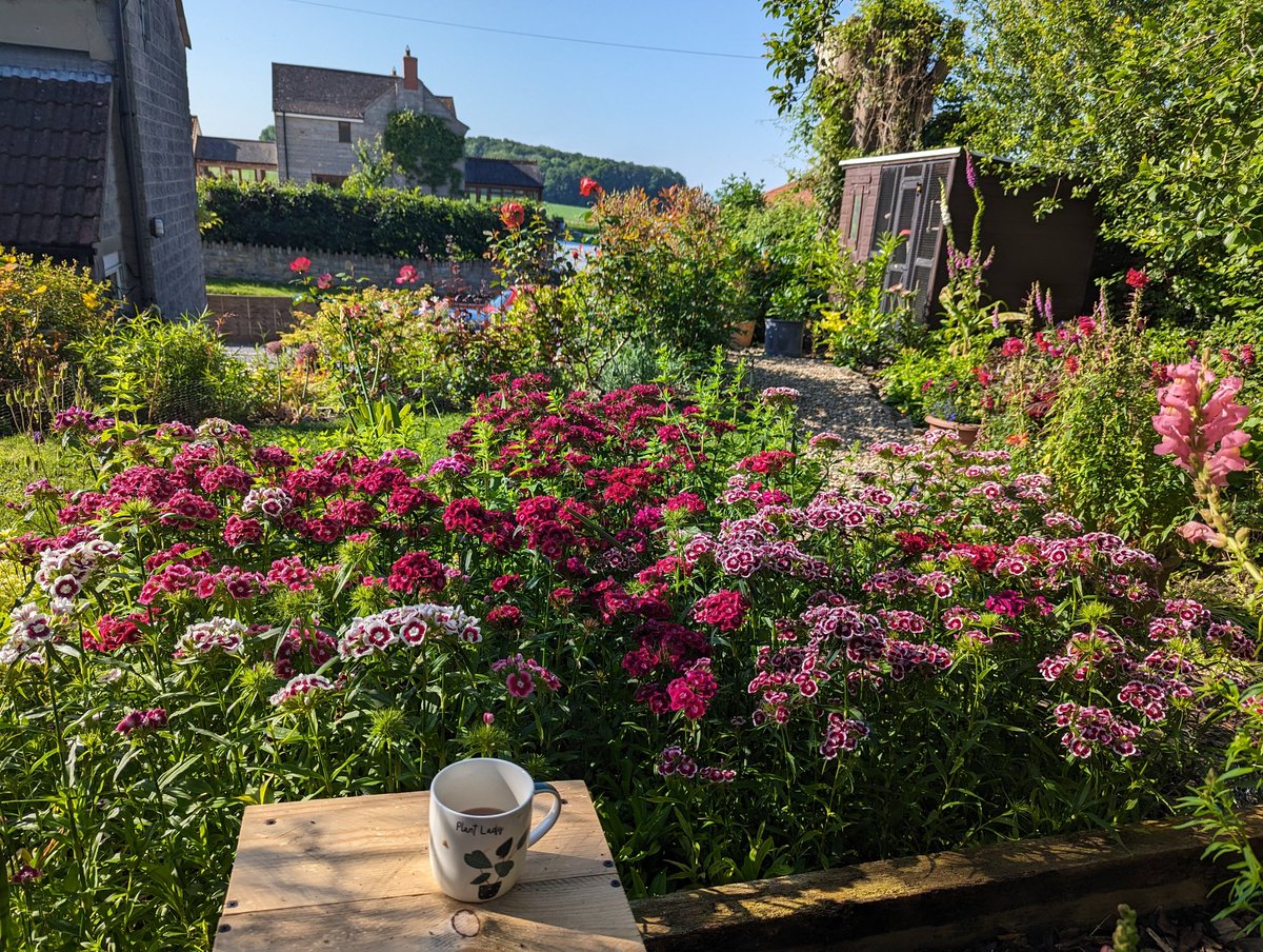 Ex Polytunnelhermit 🌿 tweet media