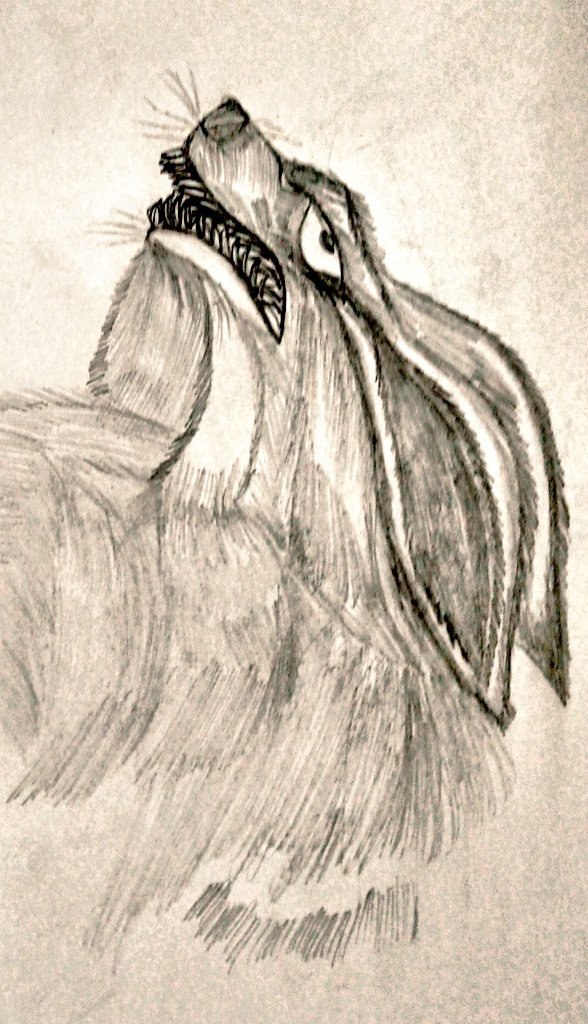 Shalaka2005's tweet photo. Anime sketch https://t.co/bnacRsktQo