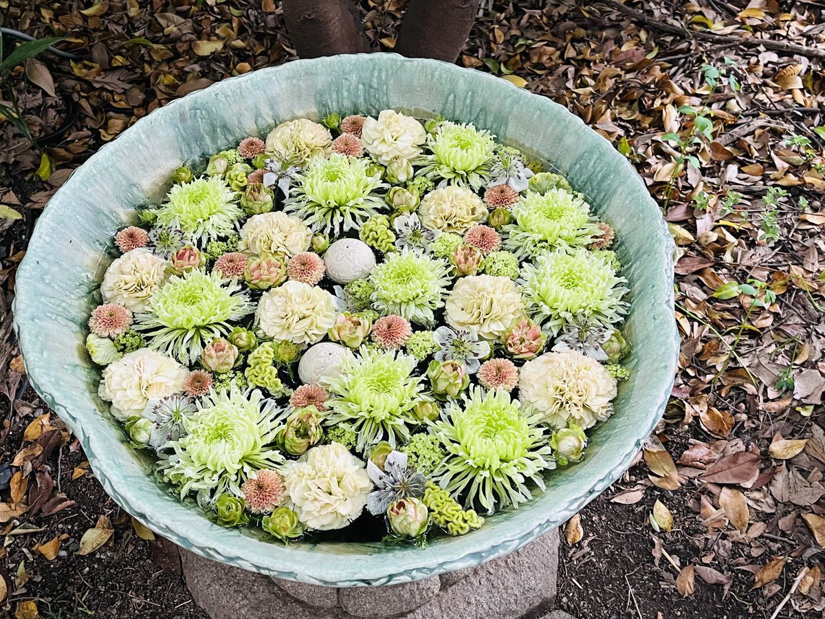 ishida_yoko's tweet photo. 行田の街歩き。花手水が飾られていてきれいでした。 https://t.co/h36xl0wHZd