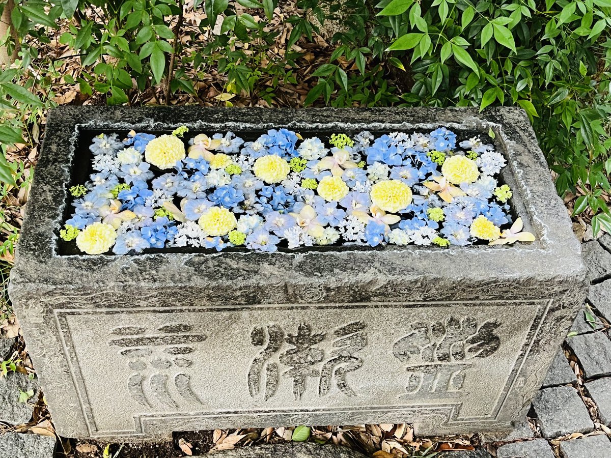 ishida_yoko's tweet photo. 行田の街歩き。花手水が飾られていてきれいでした。 https://t.co/h36xl0wHZd