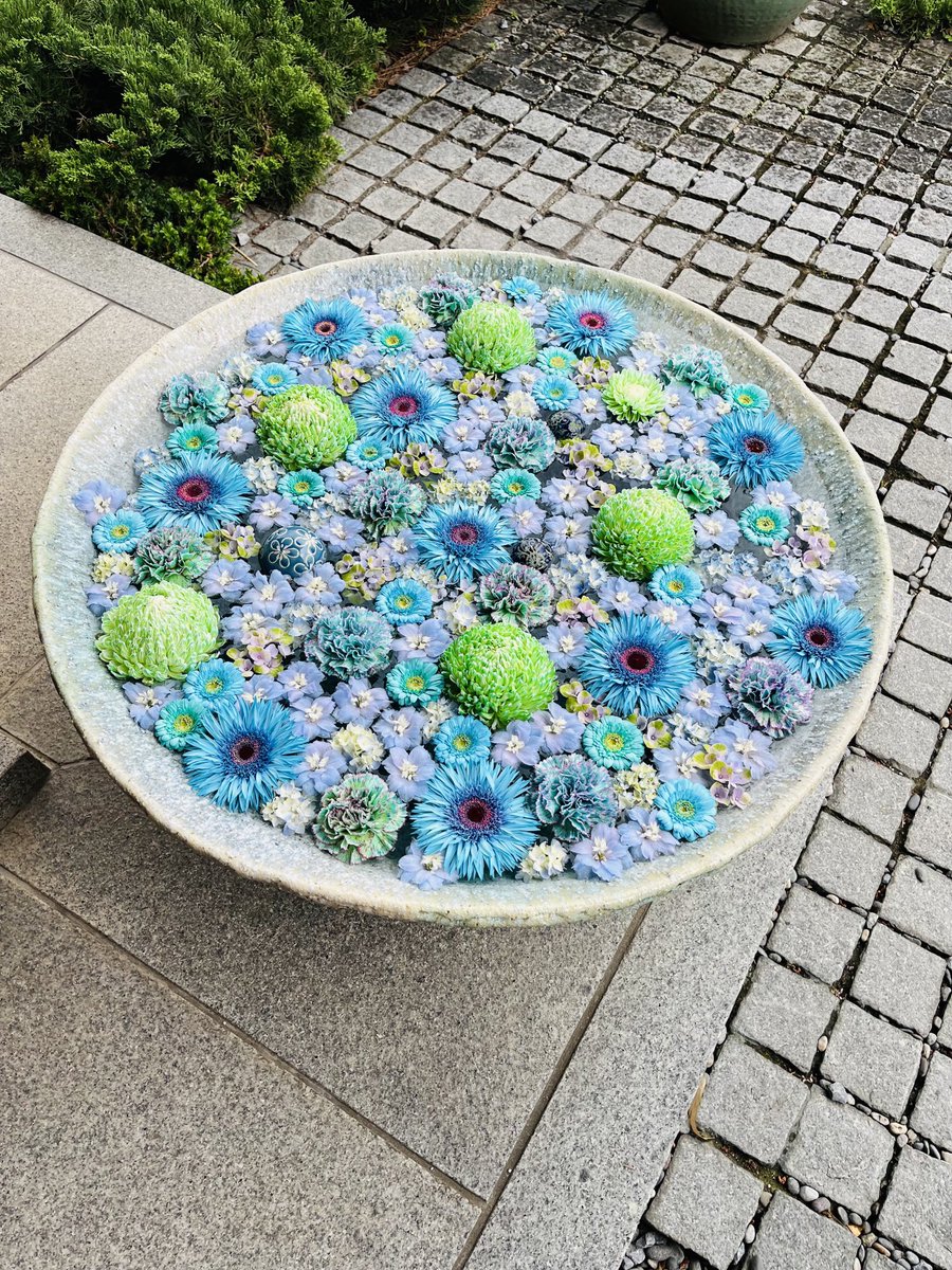 ishida_yoko's tweet photo. 行田の街歩き。花手水が飾られていてきれいでした。 https://t.co/h36xl0wHZd