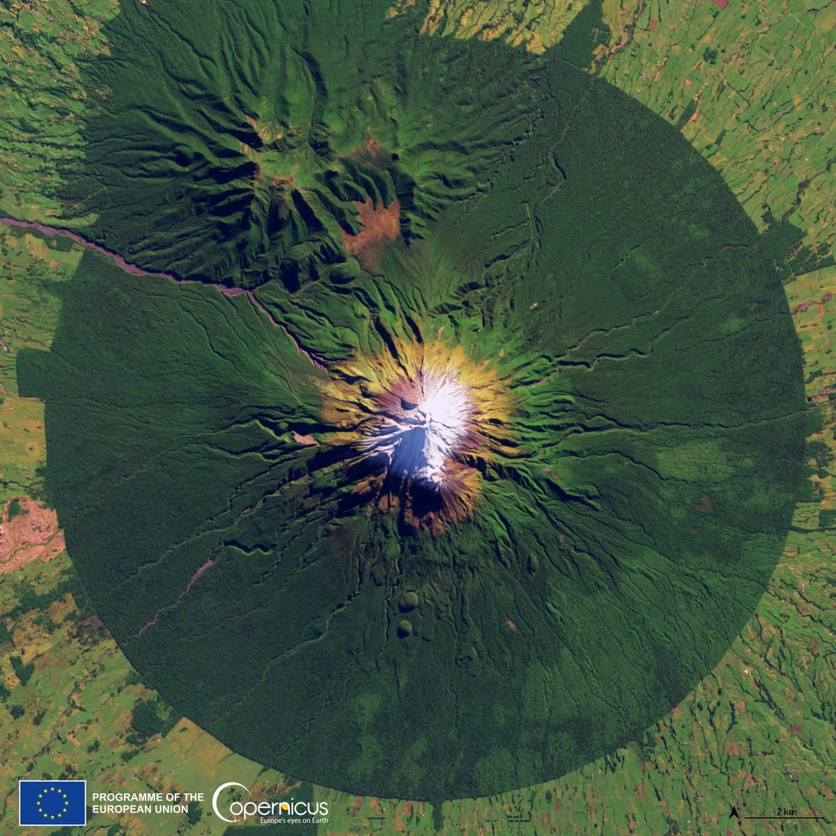 Volcano Detective Activity