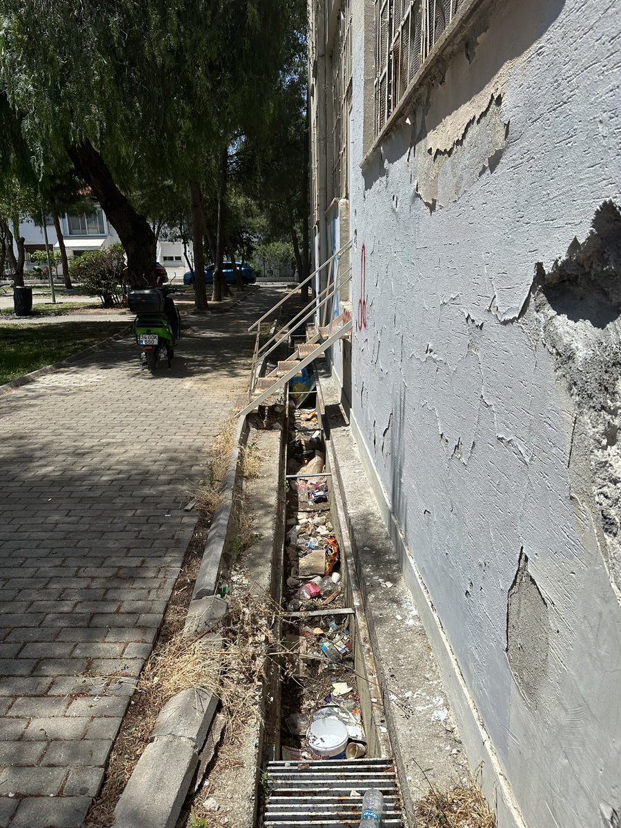 burkarbur (@burkarbur) on Twitter photo Çok severek yaşadığım canım İzmir’im neden bu kadar pis olmak zorunda? Sadece Bostanlı değil Aosb ye gidiyoruz orası da böyle, Alsancak evet, Seferihisar aynı.. İzmir halkı bunu yaşamak zorunda mı? <a href="/izmirhim/">İzmir HİM</a> <a href="/karsiyakabel/">Karşıyaka Belediyesi</a> <a href="/drcemiltugay/">Dr. Cemil Tugay</a> Çok severek yaşadığım canım İzmir’im neden bu kadar pis olmak zorunda? Sadece Bostanlı değil Aosb ye gidiyoruz orası da böyle, Alsancak evet, Seferihisar aynı.. İzmir halkı bunu yaşamak zorunda mı? <a href="/izmirhim/">İzmir HİM</a> <a href="/karsiyakabel/">Karşıyaka Belediyesi</a> <a href="/drcemiltugay/">Dr. Cemil Tugay</a>