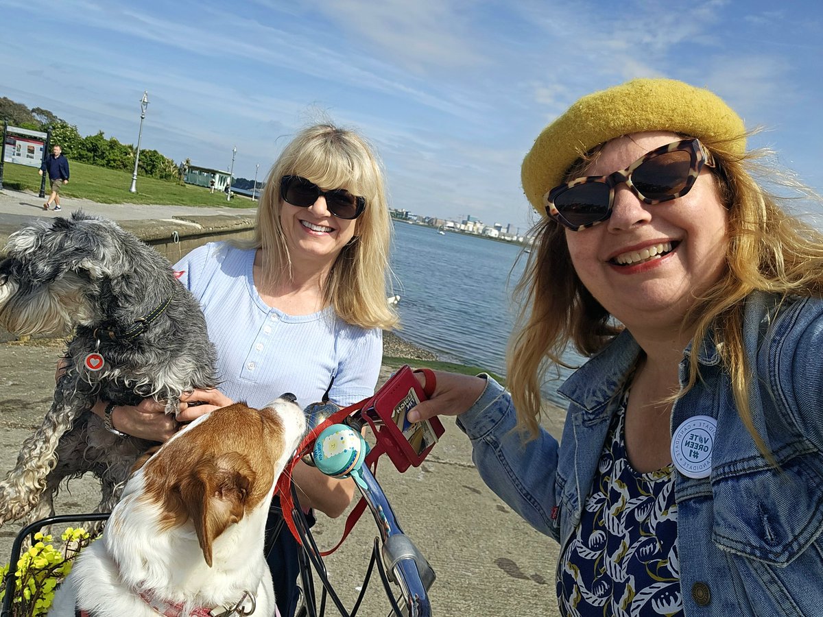 donna_cooney1's tweet photo. Lovely sunny #Sunday #Birthday #Swim great to meet my fellow sea  friends and their dogs. #Sea #CleanSea https://t.co/H3CubhmVvF