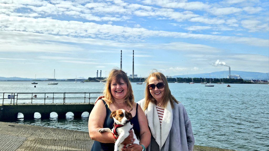 donna_cooney1's tweet photo. Lovely sunny #Sunday #Birthday #Swim great to meet my fellow sea  friends and their dogs. #Sea #CleanSea https://t.co/H3CubhmVvF