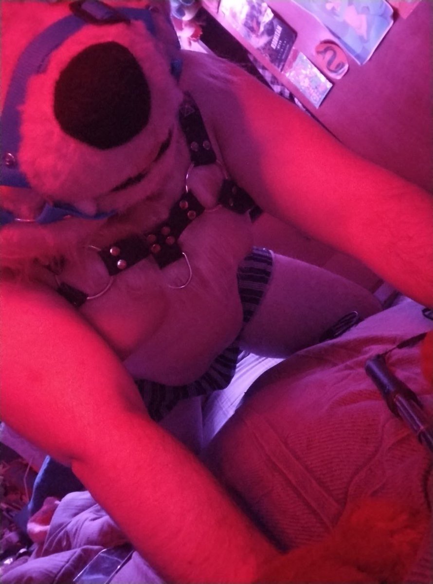 BlueCario_Ad's tweet photo. Who wants to train an arcanine?~ ❤️‍🔥 https://t.co/bGHoC6bSJO