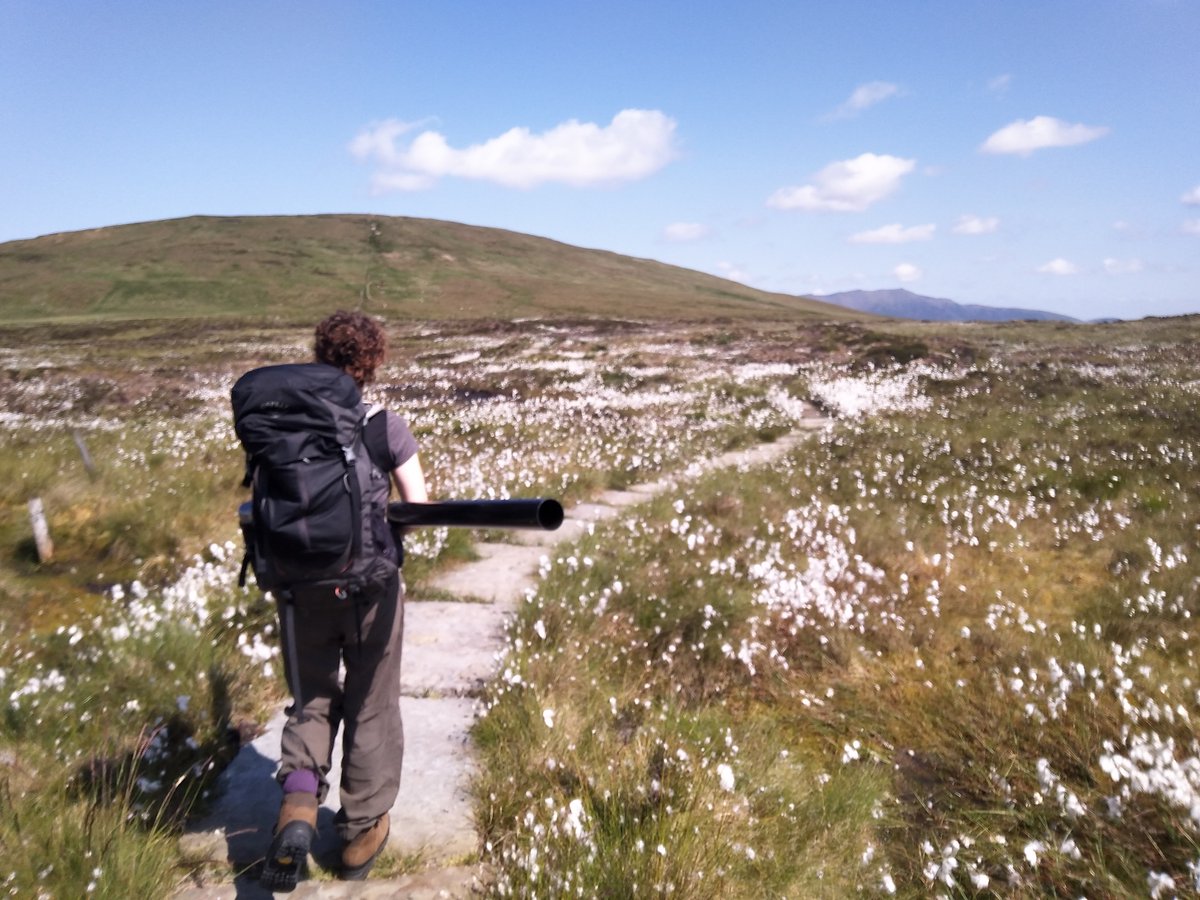 Peatlands, even when they're healthy, aren't always seen as the most traditionally 'beautiful' landscapes (we 💚 them, of course). But come June, with the cottongrass swaying, you can't beat them.

(1/3)

#Cumbria #LakeDistrict #Peatlands <a href="/cumbria_peat/">Cumbria Peat Partnership</a> #WorldPeatlandsDay