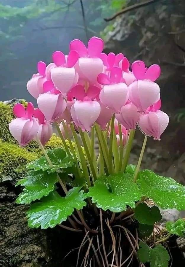 Ivy Japamala (@ivy_japamala) on Twitter photo <a href="/maha8321553/">🌸maha🌸</a> <a href="/HusseinJafo/">Hussein jafo</a> <a href="/LOVEKISSNOW009/">LOVE 🍒 TREE</a> <a href="/MrsMeenak/">Dr.𝐌𝐫𝐬 𝐌𝐞𝐞𝐧𝐚 𝐤 ツ♡</a> <a href="/Q8Q100/">أ د مهد الذهب / الامر كله لله ﷻ اخوكم في الله .</a> <a href="/HossainAnamika/">Anamika hossain</a> <a href="/scouse_kim/">scouse kim</a> <a href="/Eileen77777/">Eileen🤍🕊️</a> <a href="/KVajpayaee/">KATYAYAN VAJPAYEE</a> <a href="/Maeadaa2003/">maeada🍓🦋🌺</a> <a href="/lena_marly/">Marly Helena Bartniak</a> <a href="/k5235m/">Mahboob Ahmad</a> <a href="/AajayBhardwaj/">Ajay Bhardwaj</a> @Soraya123455 <a href="/Meire49050201/">Meyre</a> <a href="/KWunth402411/">كـ⭐️ـوٌثـ⭐️ـر</a> <a href="/ThTh65019146/">ام فراس</a> <a href="/bq02J/">بنت الريف 💔🤍</a> <a href="/SiirSL_1/">💦SiirSL_1💦</a> <a href="/MlkhSwal99071/">سمو ملكه</a> <a href="/GinaJardines/">Cleopatra</a> <a href="/t0nyrizz0/">tonyrizzo</a> <a href="/IRi8e4U/">Smile 😃</a> <a href="/1centilimen/">CENTİLMEN BEY</a> <a href="/Lilli_fb/">Lilli for 👉💯 FB</a> <a href="/Alaayous3/">alaa amy</a> <a href="/edusapiranga/">Educoloradosap</a> <a href="/Eileen77777/">Eileen🤍🕊️</a> <a href="/tadayokun73/">🍃🌛EzDo.ONE🚩🍃 ◽◻⬜¦¦🌺</a> <a href="/LOVEKISSNOW009/">LOVE 🍒 TREE</a> <a href="/fryld/">Fryl dnc</a> <a href="/Leah2477/">Leah</a> <a href="/____Bianka____/">Bianka</a> <a href="/karla_newbi/">Karla golbahar newbi</a> <a href="/RayAwala/">rayan Suzy awala💙</a> <a href="/Q8Q100/">أ د مهد الذهب / الامر كله لله ﷻ اخوكم في الله .</a> <a href="/TaposKumarBasu/">⭐✳️🇮🇳तापोस🇮🇳✳️⭐</a> <a href="/Lovessiyaa343/">🕊🌹L♥VE_SIYAA🌹🕊</a> <a href="/Alaayous3/">alaa amy</a> <a href="/KVajpayaee/">KATYAYAN VAJPAYEE</a> <a href="/vkjha783/">Vinod Kumar Jha</a> @Soraya123455 <a href="/ABS20762910/">singh🌿🍁🌺</a> <a href="/4523165Q8g7/">rikako</a> <a href="/25_A_25_b/">ابوداعس</a> <a href="/77uuuxxx/">د نوال 🇨🇦 🇮🇶</a> @Mohamed73923498 <a href="/NikashZia/">Nikash Zia</a> <a href="/NMatyer/">Nucheke Matyer</a> <a href="/nor3rh/">💎Nor elrhman💎</a> <a href="/maha8321553/">🌸maha🌸</a> <a href="/HusseinJafo/">Hussein jafo</a> <a href="/LOVEKISSNOW009/">LOVE 🍒 TREE</a> <a href="/MrsMeenak/">Dr.𝐌𝐫𝐬 𝐌𝐞𝐞𝐧𝐚 𝐤 ツ♡</a> <a href="/Q8Q100/">أ د مهد الذهب / الامر كله لله ﷻ اخوكم في الله .</a> <a href="/HossainAnamika/">Anamika hossain</a> <a href="/scouse_kim/">scouse kim</a> <a href="/Eileen77777/">Eileen🤍🕊️</a> <a href="/KVajpayaee/">KATYAYAN VAJPAYEE</a> <a href="/Maeadaa2003/">maeada🍓🦋🌺</a> <a href="/lena_marly/">Marly Helena Bartniak</a> <a href="/k5235m/">Mahboob Ahmad</a> <a href="/AajayBhardwaj/">Ajay Bhardwaj</a> @Soraya123455 <a href="/Meire49050201/">Meyre</a> <a href="/KWunth402411/">كـ⭐️ـوٌثـ⭐️ـر</a> <a href="/ThTh65019146/">ام فراس</a> <a href="/bq02J/">بنت الريف 💔🤍</a> <a href="/SiirSL_1/">💦SiirSL_1💦</a> <a href="/MlkhSwal99071/">سمو ملكه</a> <a href="/GinaJardines/">Cleopatra</a> <a href="/t0nyrizz0/">tonyrizzo</a> <a href="/IRi8e4U/">Smile 😃</a> <a href="/1centilimen/">CENTİLMEN BEY</a> <a href="/Lilli_fb/">Lilli for 👉💯 FB</a> <a href="/Alaayous3/">alaa amy</a> <a href="/edusapiranga/">Educoloradosap</a> <a href="/Eileen77777/">Eileen🤍🕊️</a> <a href="/tadayokun73/">🍃🌛EzDo.ONE🚩🍃 ◽◻⬜¦¦🌺</a> <a href="/LOVEKISSNOW009/">LOVE 🍒 TREE</a> <a href="/fryld/">Fryl dnc</a> <a href="/Leah2477/">Leah</a> <a href="/____Bianka____/">Bianka</a> <a href="/karla_newbi/">Karla golbahar newbi</a> <a href="/RayAwala/">rayan Suzy awala💙</a> <a href="/Q8Q100/">أ د مهد الذهب / الامر كله لله ﷻ اخوكم في الله .</a> <a href="/TaposKumarBasu/">⭐✳️🇮🇳तापोस🇮🇳✳️⭐</a> <a href="/Lovessiyaa343/">🕊🌹L♥VE_SIYAA🌹🕊</a> <a href="/Alaayous3/">alaa amy</a> <a href="/KVajpayaee/">KATYAYAN VAJPAYEE</a> <a href="/vkjha783/">Vinod Kumar Jha</a> @Soraya123455 <a href="/ABS20762910/">singh🌿🍁🌺</a> <a href="/4523165Q8g7/">rikako</a> <a href="/25_A_25_b/">ابوداعس</a> <a href="/77uuuxxx/">د نوال 🇨🇦 🇮🇶</a> @Mohamed73923498 <a href="/NikashZia/">Nikash Zia</a> <a href="/NMatyer/">Nucheke Matyer</a> <a href="/nor3rh/">💎Nor elrhman💎</a>