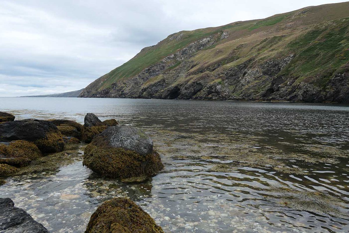 Fleshwick Bay is a small stone and pebble beach sheltered by high cliffs on either side. Due to its sheltered nature, it can be very calm and flat, making it a good swimming beach.

coastradar.com/places/isle-of…

#isleofman #beaches #isleofmanbeaches