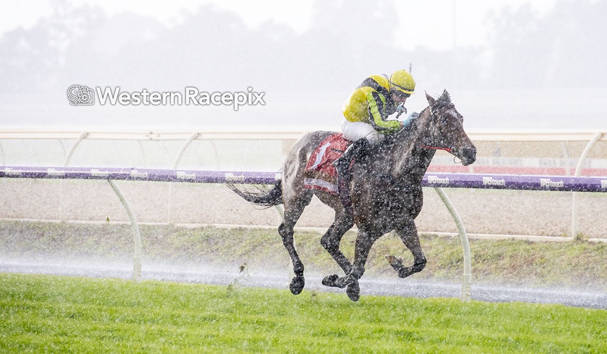 Western Racepix tweet media