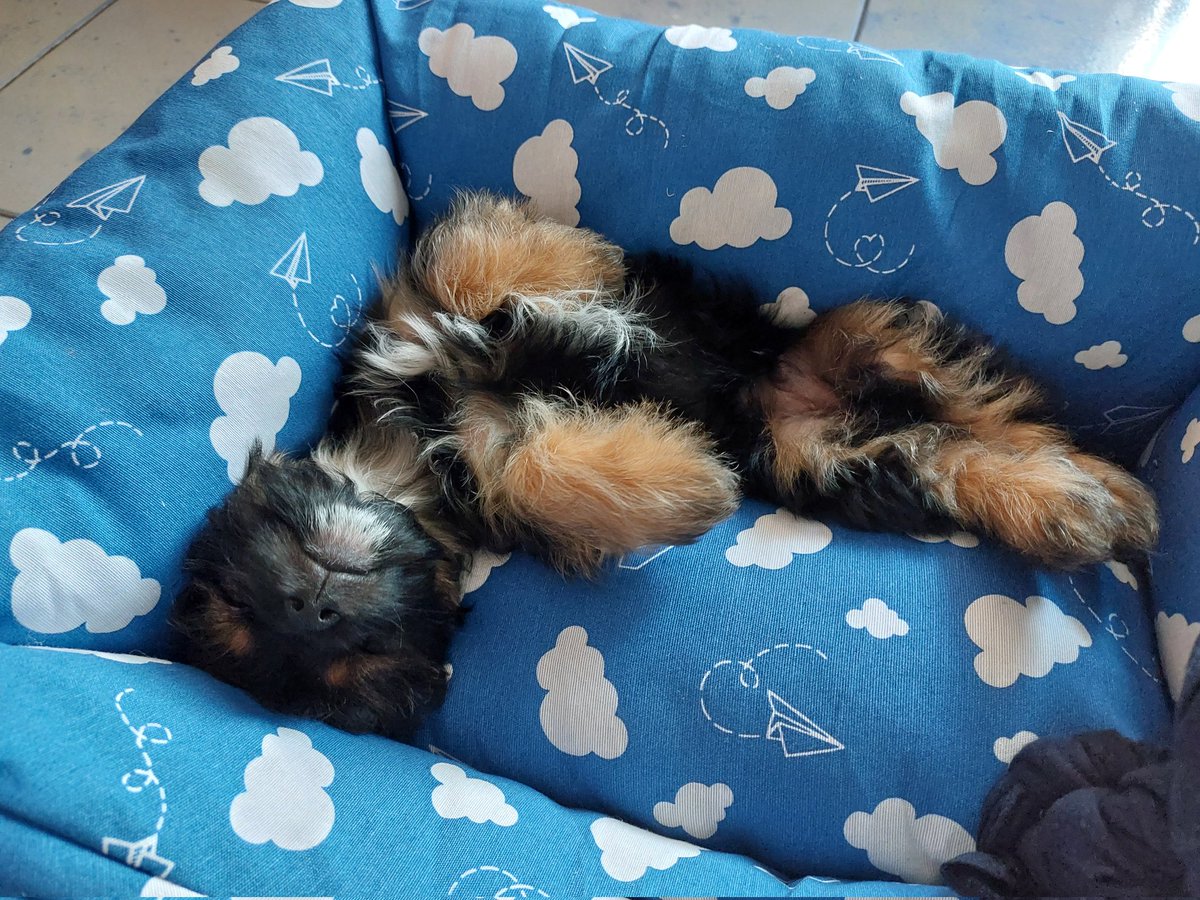 Nanny are you okay? tweet media