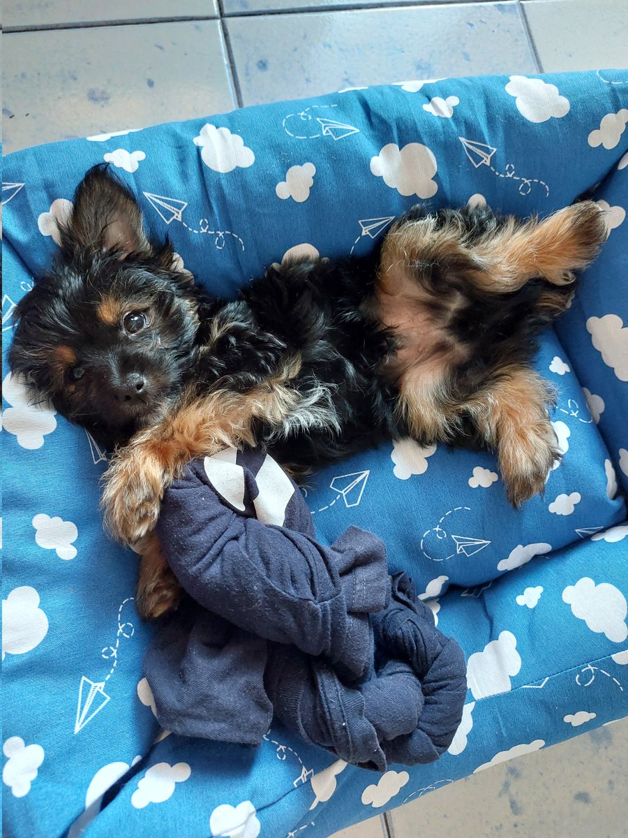 Nanny are you okay? tweet media