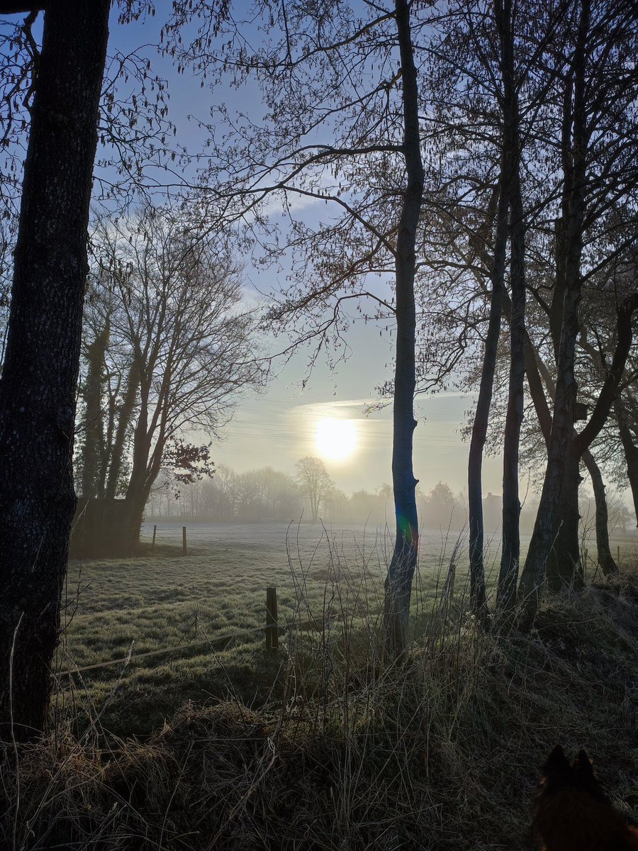 Dag 2 van de #fotochallenge #junieke_fotografie met het thema: #lichtspel  @SiaWindig
De vorige foto was met kunstlicht maar het mooiste licht, met de meeste variaties van warm rood tot koel grijs, is toch wel het licht in de natuur.