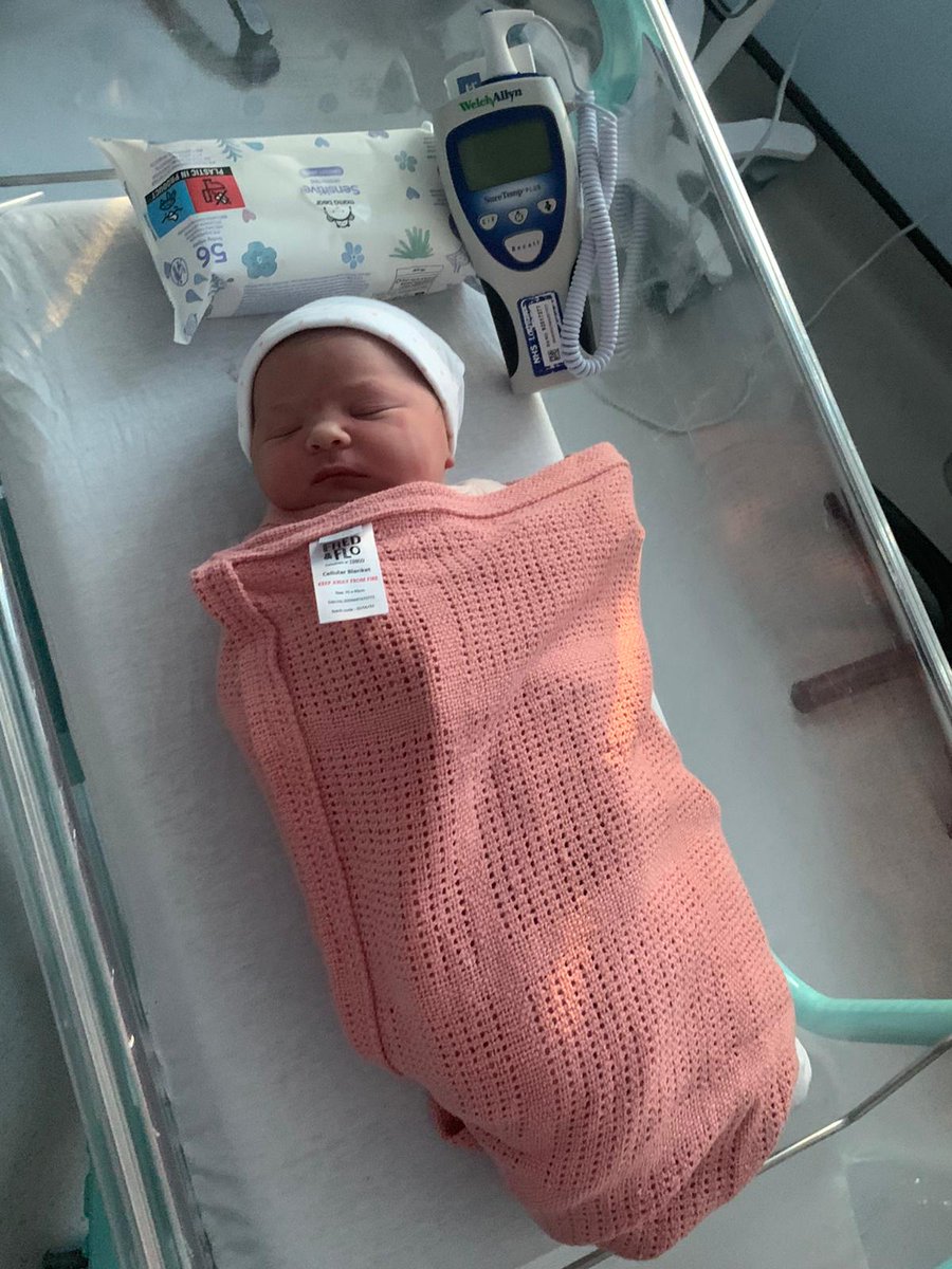 George hamilton tweet media