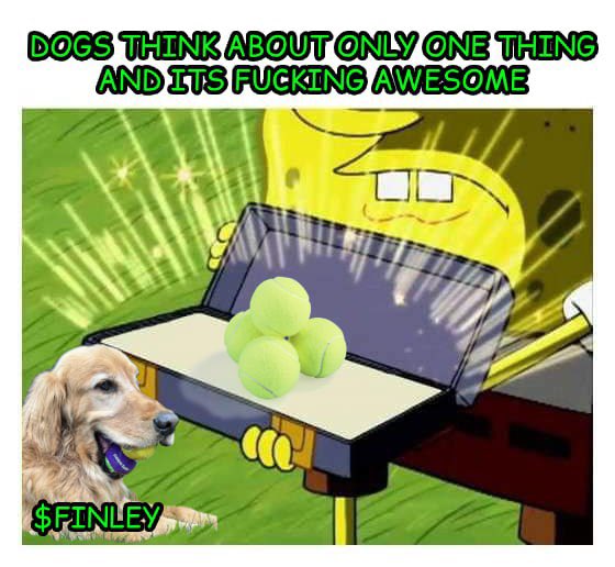 $FINLEY - Dog Wif Balls tweet media