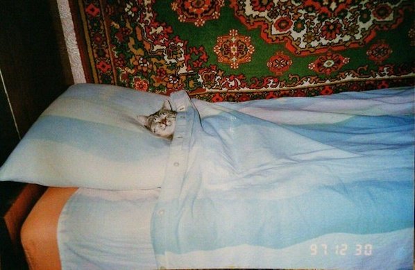 sovietsoleri's tweet photo. Gonna go do what I do best... Sleep.. https://t.co/PNKT0JCz45