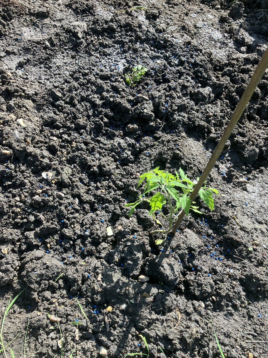 Conrad Hall tweet media