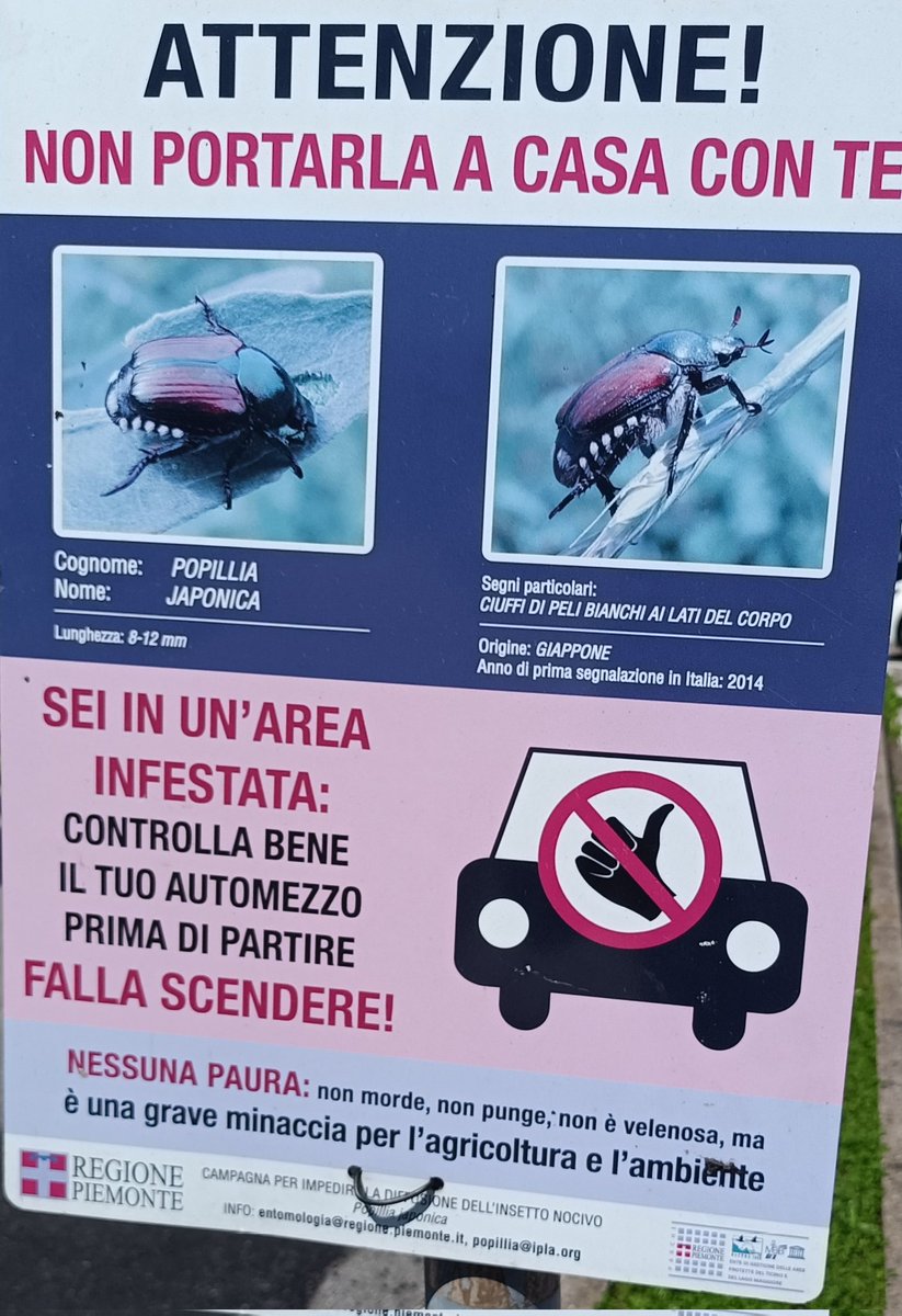 BioMarcVs's tweet photo. Alien species everywhere..😥 https://t.co/BluXPQjdq1