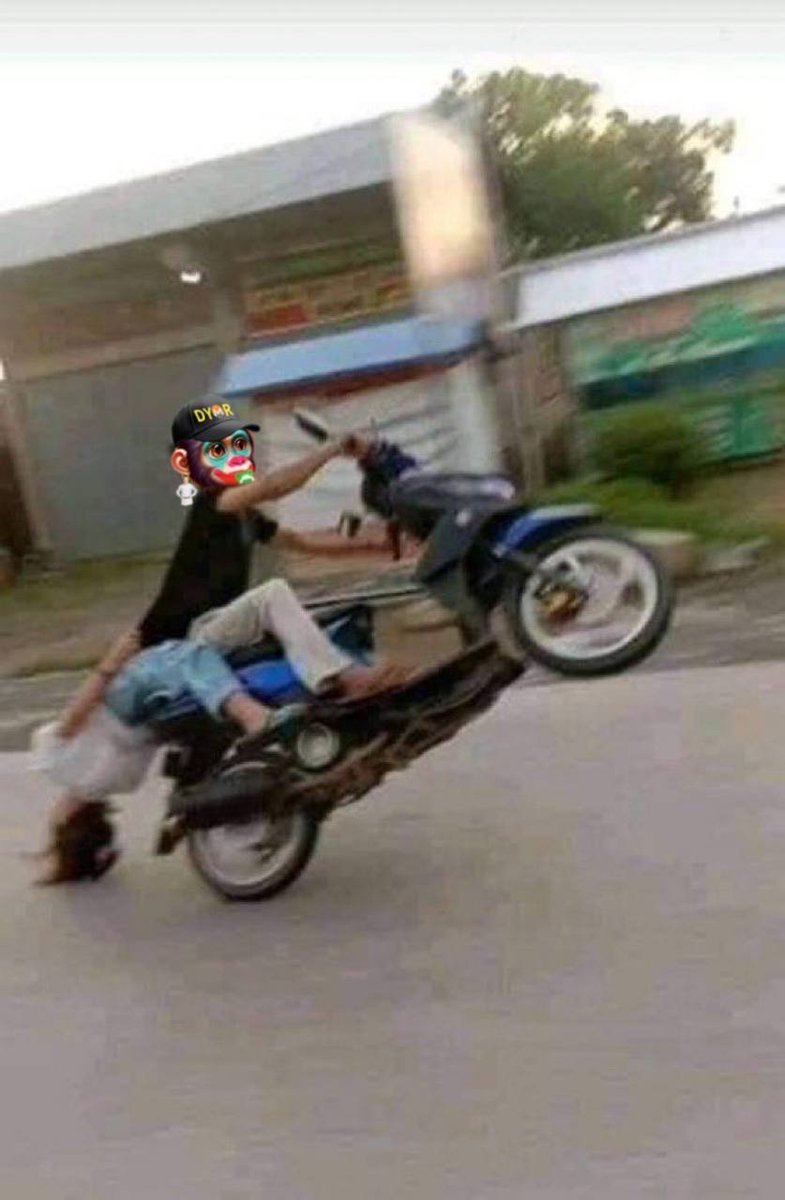 CaptivatingCatz 🐈 tweet media