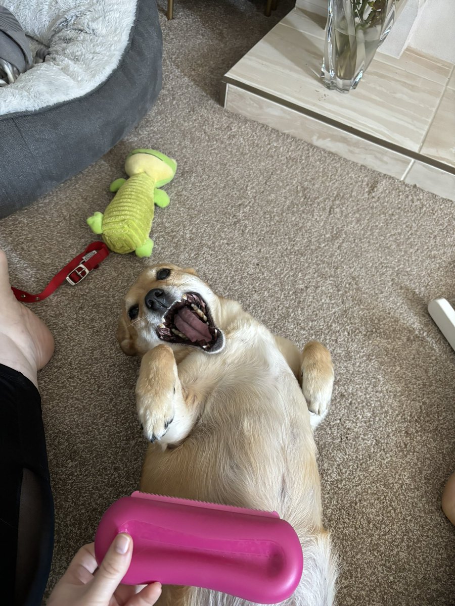 Crystal Coe tweet media