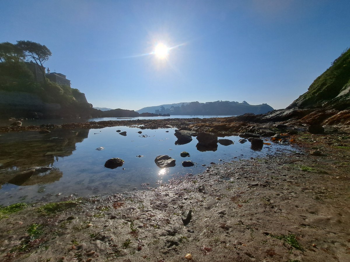 Marcus Lewis  tweet media