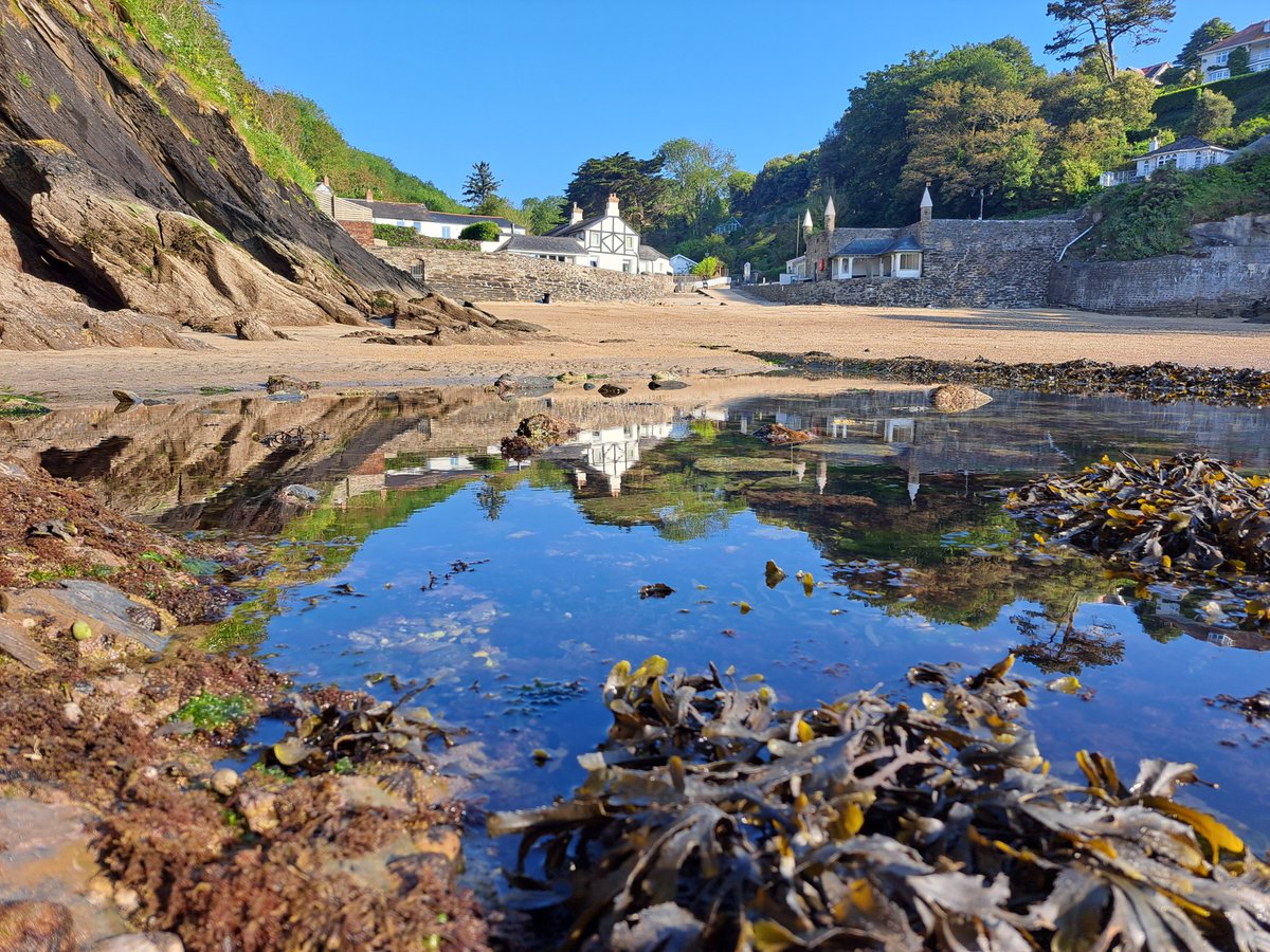 Marcus Lewis  tweet media