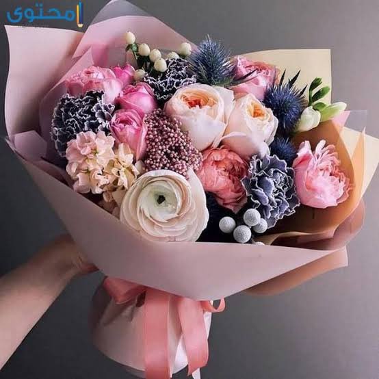 flower10_no's tweet photo. @D03aaa 
من شخص ما 

@D03aaa  كل سنه وانتي طيبه يا زيتونه https://t.co/rT6LYqQZTq