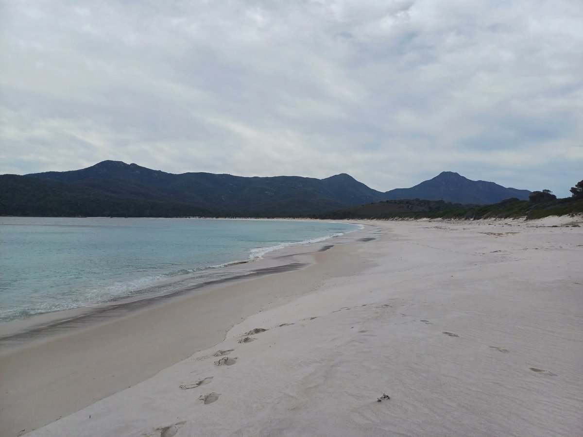 thefootyalmanac's tweet photo. What better place to be housesitting than on the spectacular east coast of Tasmania at Bicheno as Ian Wilson is enjoying. https://t.co/hRpnxK2SGi @thefootyalmanac #Ianwilson #Bicheno #Tasmania https://t.co/srbpmSmHUd