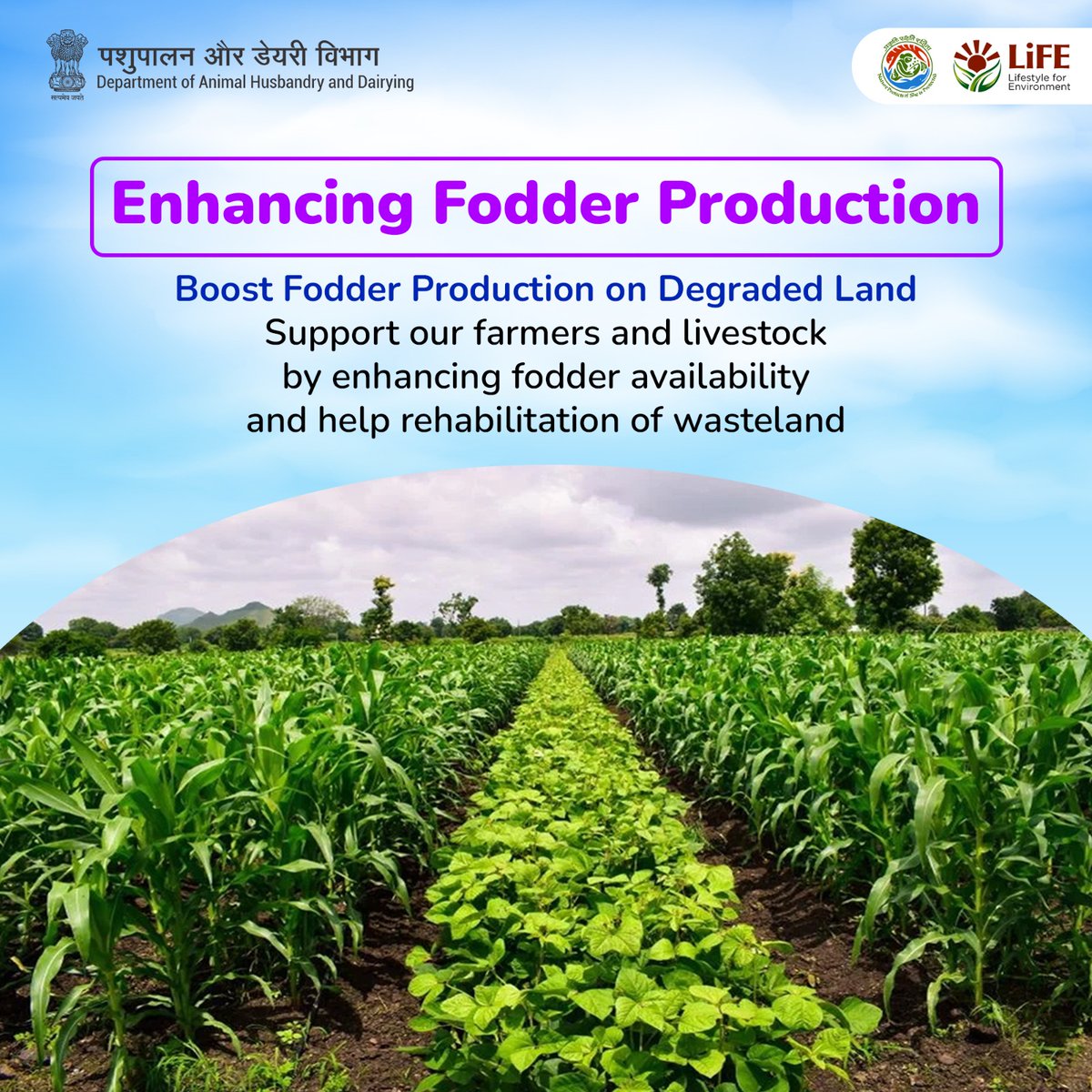 Dept_of_AHD's tweet photo. Boost fodder production on degraded / wasteland/ rangeland/ grassland/ non- arable land and support our farmers and livestock by enhancing fodder availability. #WorldEnvironmentDay #MissionLiFE #SustainableFarming #FodderProduction https://t.co/jOgKR465KW