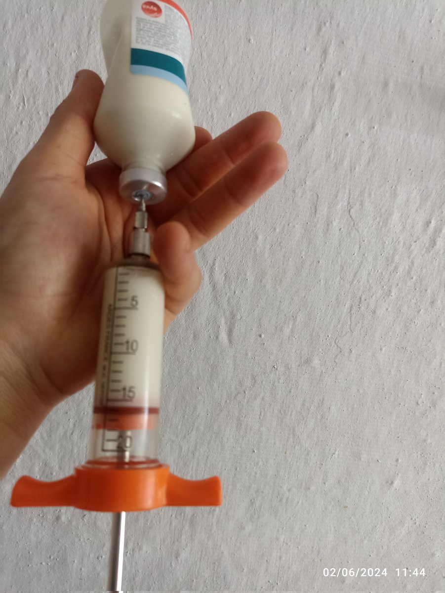 Kim demiş Reyhan uzun zamandır iğne yapmıyor diye 😬😂

Şimdi görün siz ineği bı sağ kroşe bı sol kroşe 😌😁😂