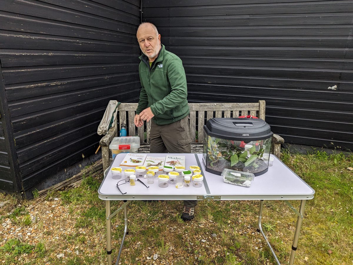 David Shenton tweet media