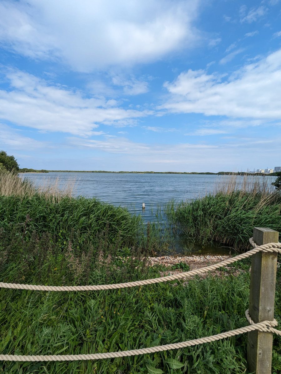 David Shenton tweet media