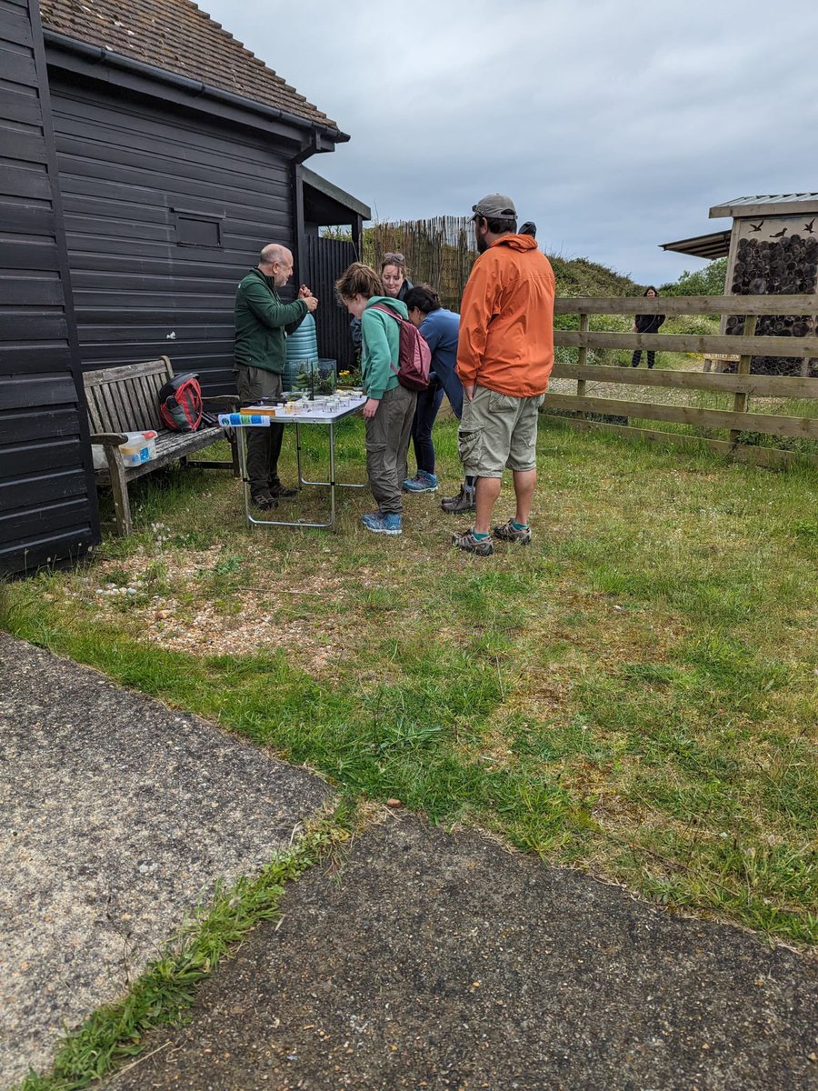 David Shenton tweet media