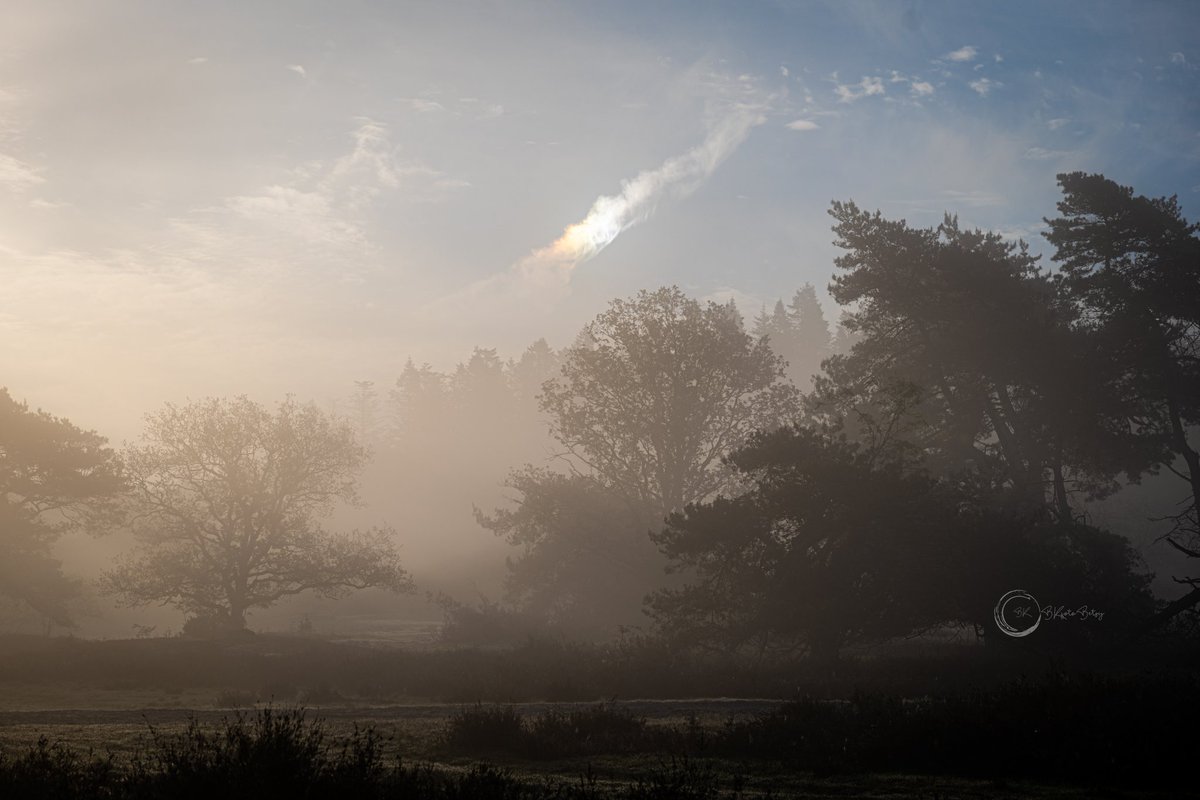 #Junieke_Fotografie #dag2 #fotochallenge @SiaWindig 
Dit #lichtspel zag ik enkele weken geleden op een prachtige ochtend in het veld #bijzon 
Fijne #zondag allen 🙋‍♀️