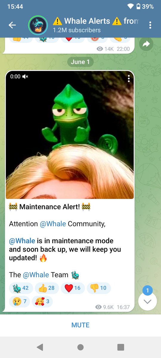 I've just Joined the Whale Community on Telegraml Earn rewards from Whale and more Jambo partners at play.google .com/store/apps/details?id=com.jambo <a href="/whalegames_en/">Whale</a> <a href="/jambotechnology/">Jambo</a> #sometimeslosealwayswin