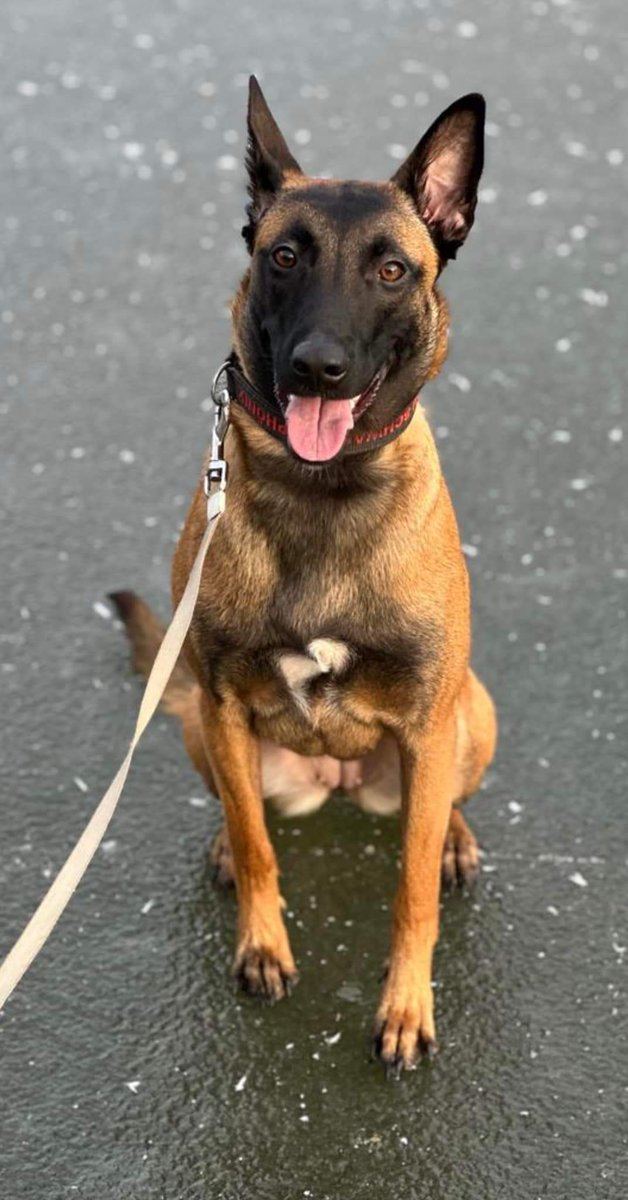 christian buchhaus (@johnjay59) on Twitter photo 