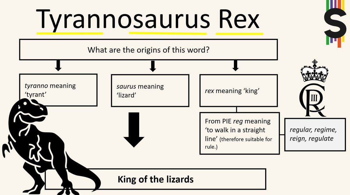 ScodeVocabulary's tweet photo. King of the lizards! #etymology #vocabularyteaching #rootwords #dinosuars https://t.co/0vxA8N6Zpk