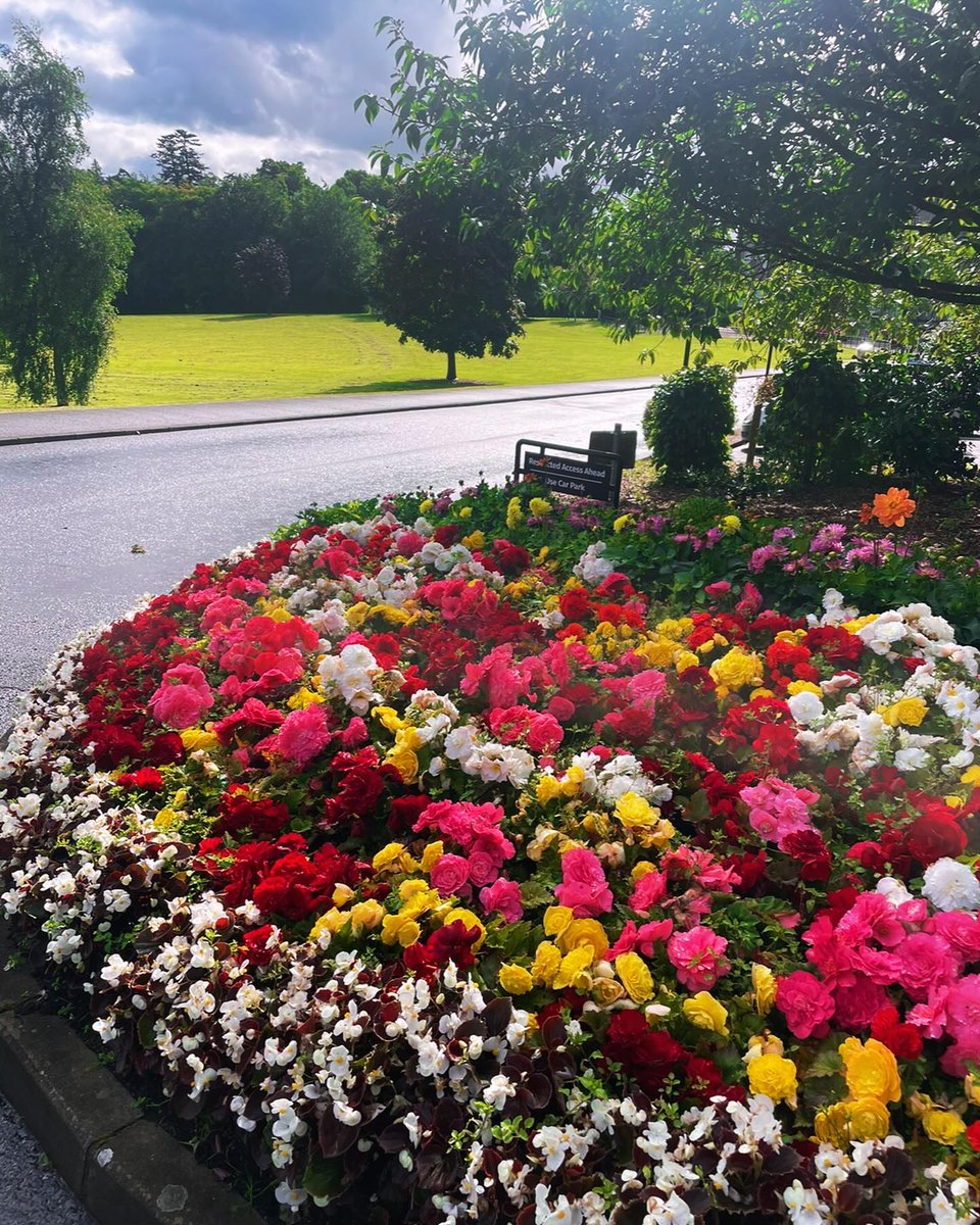 visit_armagh's tweet photo. The Palace Demesne coming into full bloom! ๐ธ ๐บ
๐ธ Credit to @dantesdeliarmagh for this beautiful shot!
#discoverni #northernireland #ireland #explorearmagh #embracegiantspirit #lovearmagh #armagh #fillyourheartwithireland #discoverarmagh #instatravel #instaireland https://t.co/uxkhPtIsuC